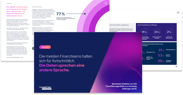 Schnappschuss des Deckblatts und der Innenseiten des Berichts zu e-Invoice und Zahlungen