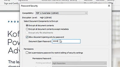 Power PDF advanced security and encryption