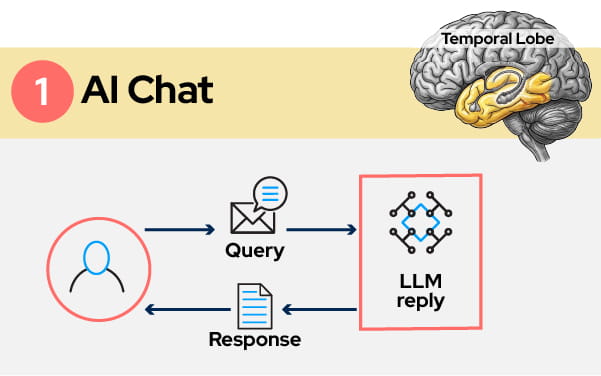 The Language Model