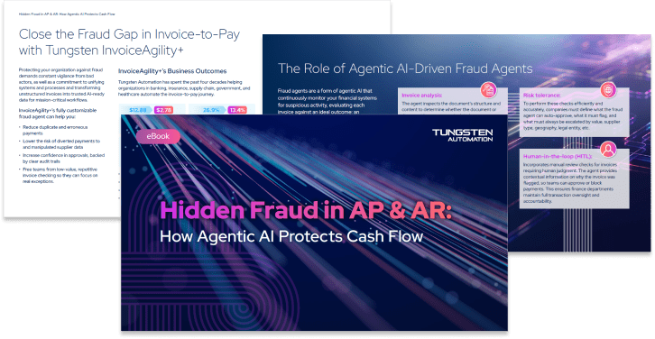 Sample spread of pages within the Hidden Fraud in AP and AR ebook