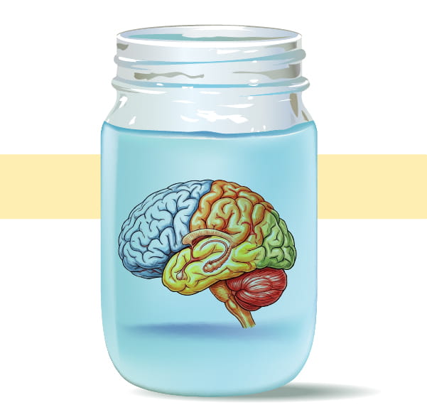 An LLM by itself is like a disembodied frontal lobe in a jar, disconnected from the environment